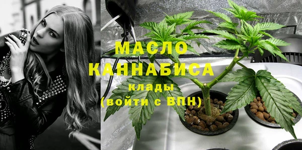 spice Инта