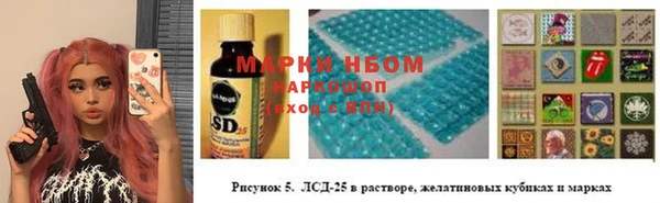 spice Инта