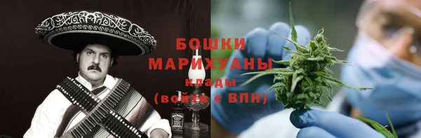 spice Инта