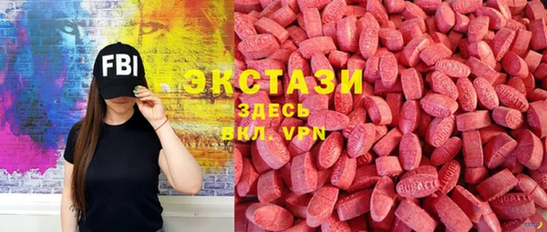spice Инта