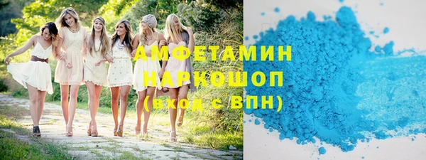 spice Инта