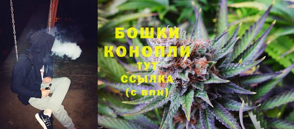 spice Инта