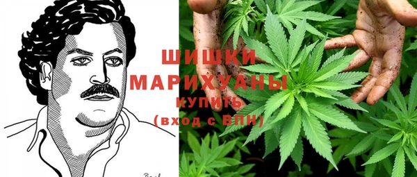 spice Инта