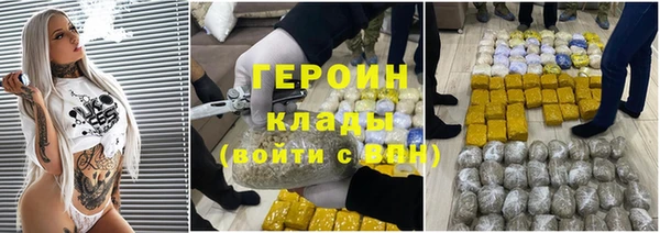 spice Инта