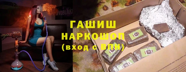 spice Инта