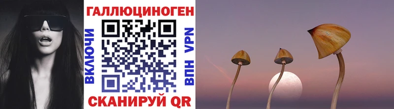 Псилоцибиновые грибы мицелий  купить наркоту  Иннополис 